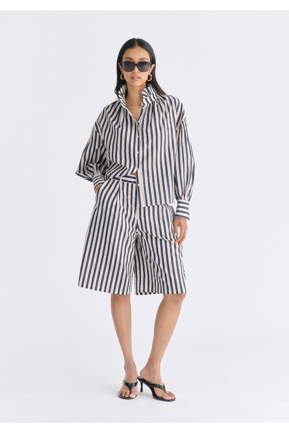 P26A0504A CREMA/NECRO-C